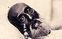 Bahadur Shah II, último emperador mogol de la India, en una fotografia de 1858, posiblemente la única hecha al soberano