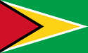 Bandera de Guyana
